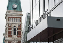 Growing internationally: County population increases, but only with significant increases in international migration