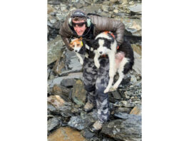 Hiker’s dog lost in a wild New Zealand forest rescued by helicopter after strangers fund search